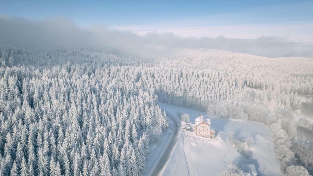 Przystanek Alaska Zieleniec  Extérieur photo